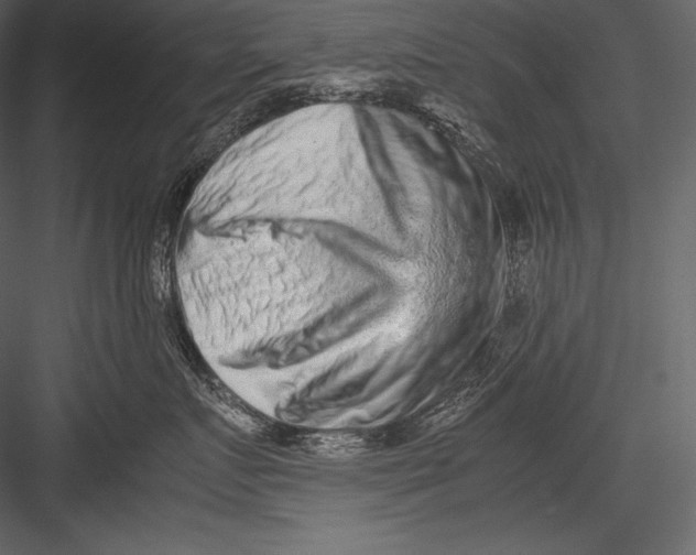 X0000082950719200702222313