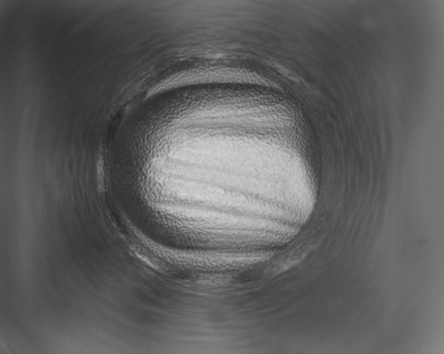 X0000082950720200702222313