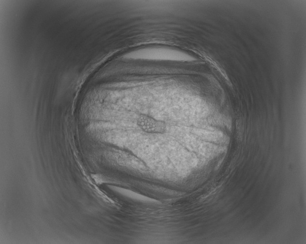 X0000082950721200702222312