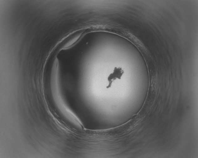 X0000082950722200702222312