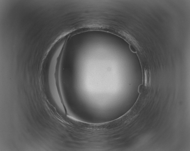 X0000082950723200702222312