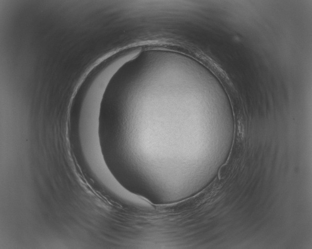 X0000082950724200702222312