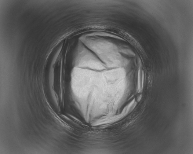 X0000082950725200702222312