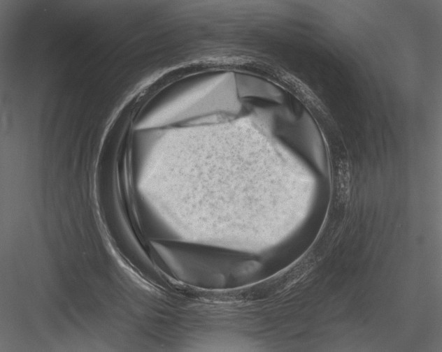 X0000082950726200702222312