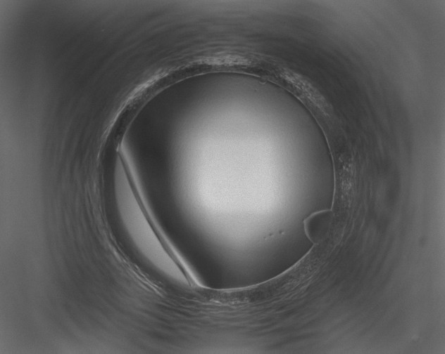 X0000082950727200702222312