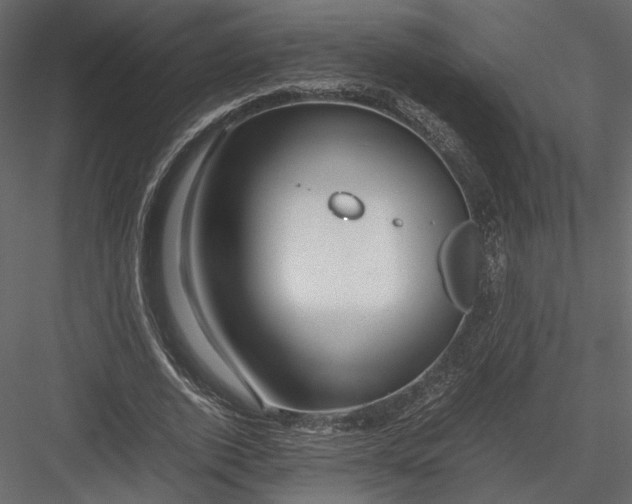 X0000082950728200702222313