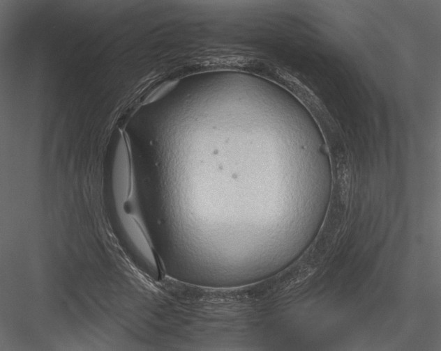 X0000082950729200702222313