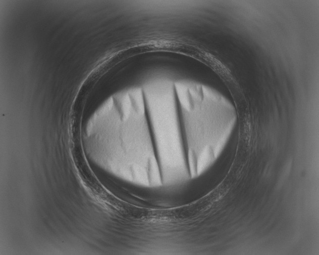 X0000082950730200702222313