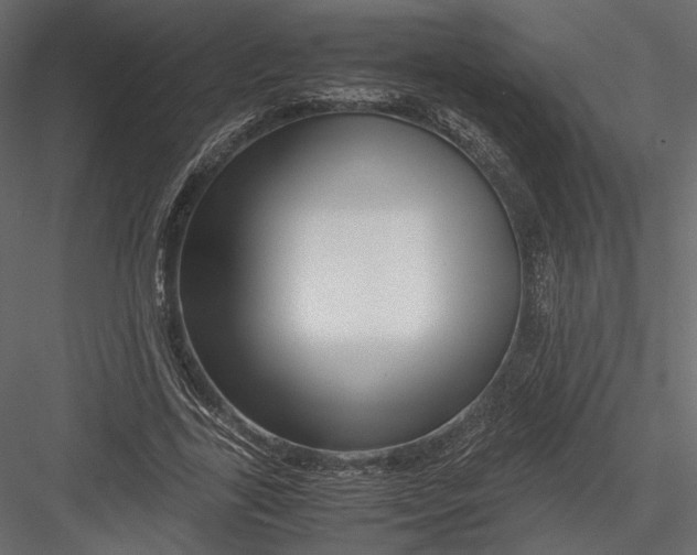 X0000082950731200702222313