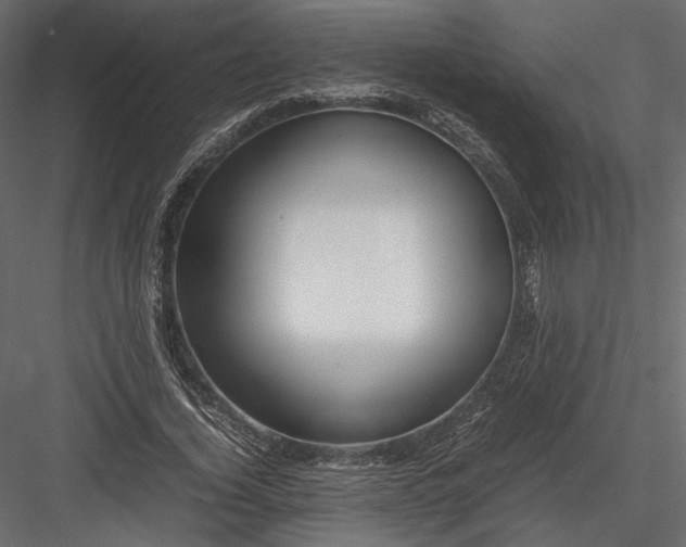 X0000082950732200702222313