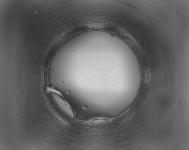 X0000082950733200702222313