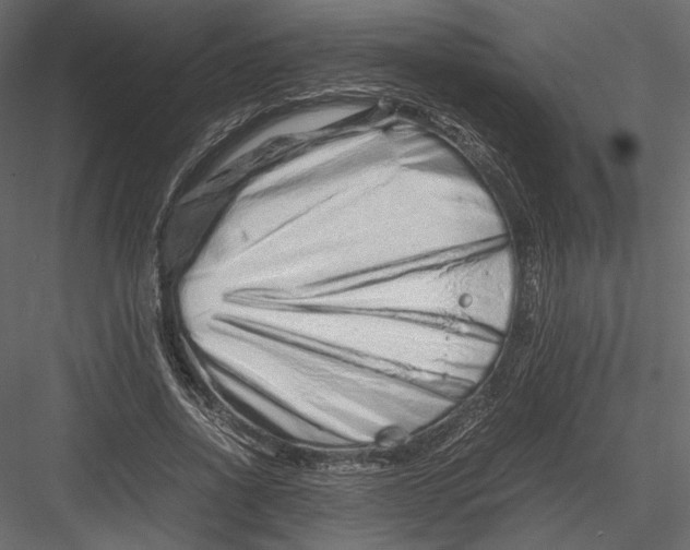 X0000082950734200702222313