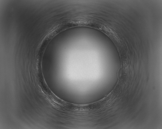 X0000082950735200702222313