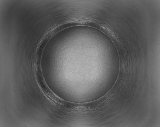 X0000082950736200702222313