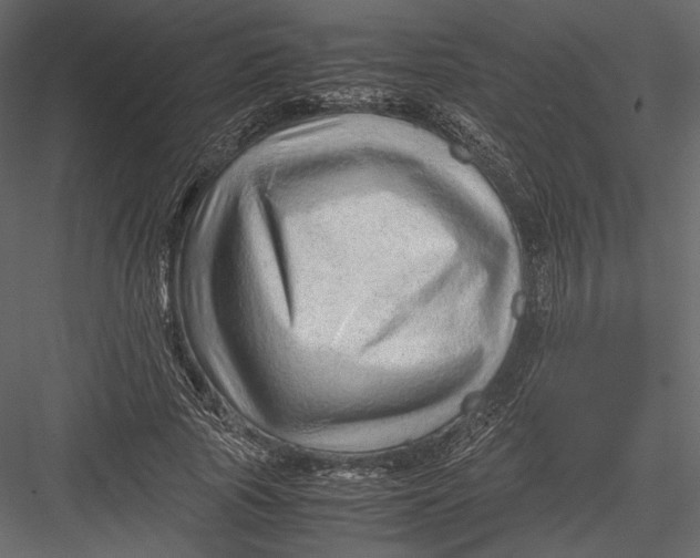 X0000082950737200702222313