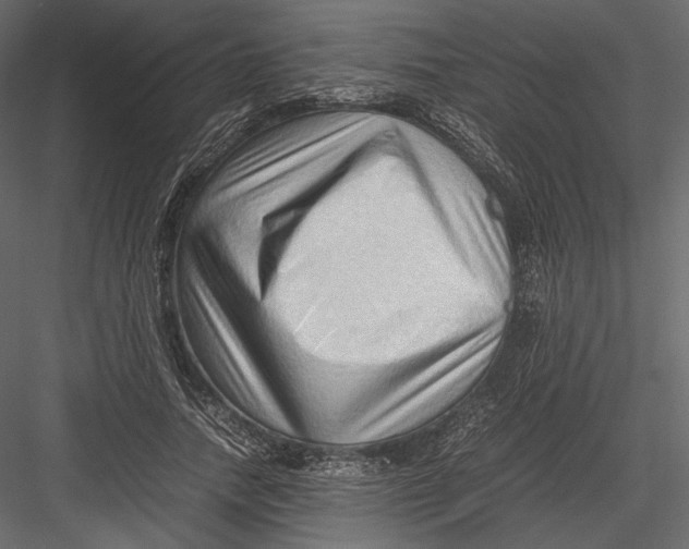 X0000082950738200702222313