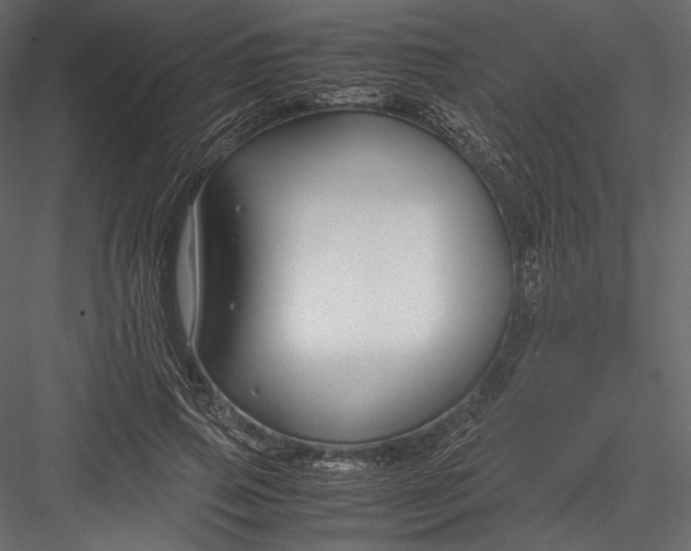 X0000082950741200702222313