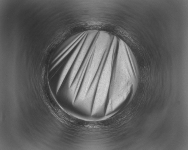 X0000082950742200702222313