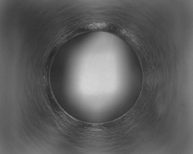 X0000082950743200702222313