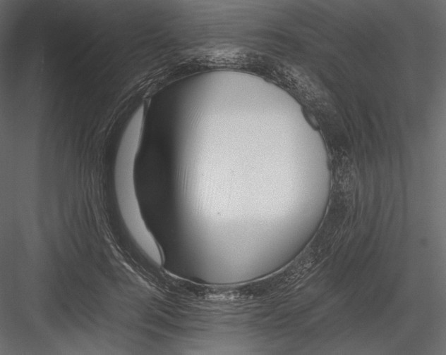 X0000082950744200702222313