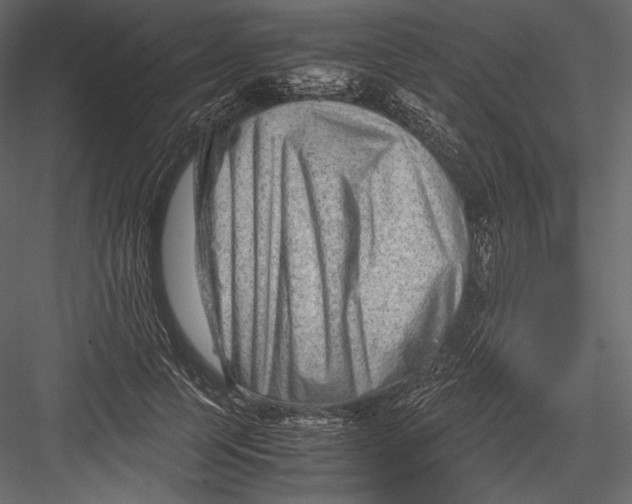 X0000082950745200702222313