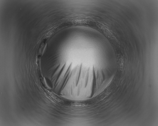 X0000082950746200702222313