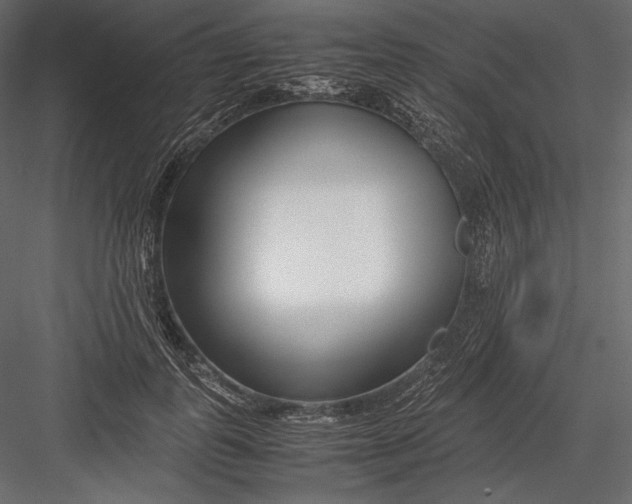 X0000082950747200702222313