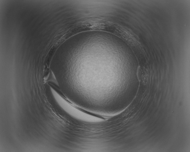 X0000082950748200702222313