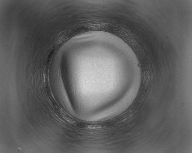 X0000082950749200702222313