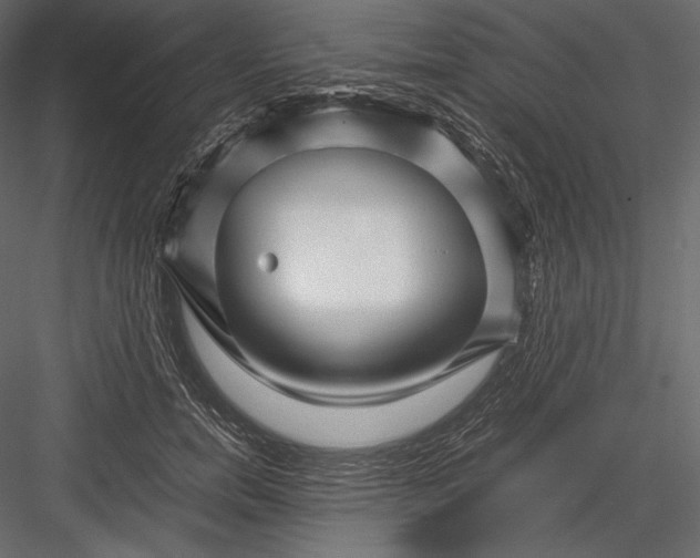 X0000082950750200702222313