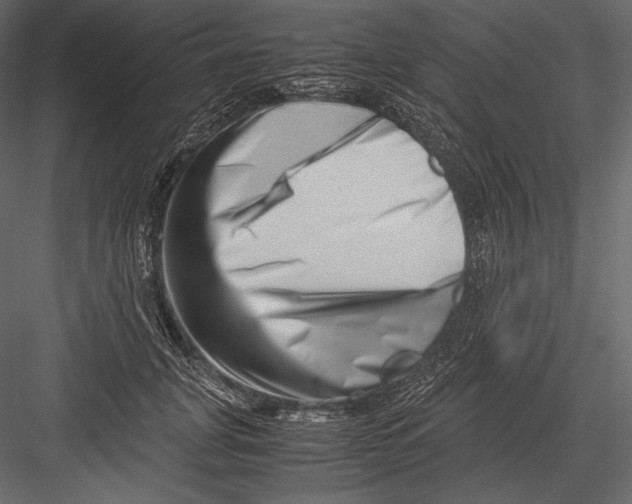 X0000082950751200702222313