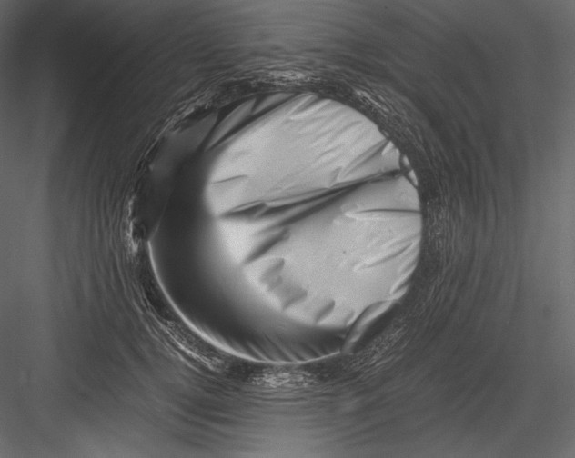 X0000082950752200702222313