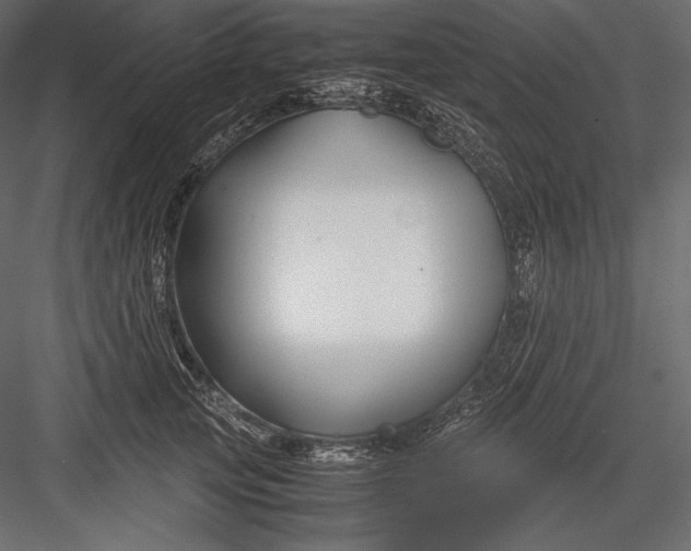 X0000082950753200702222313