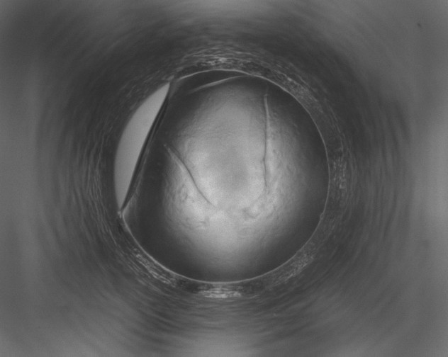 X0000082950754200702222313