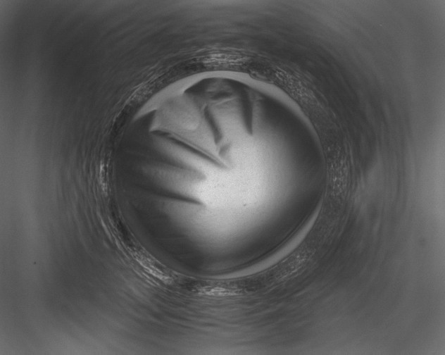 X0000082950755200702222313