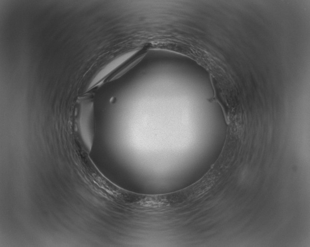 X0000082950756200702222313