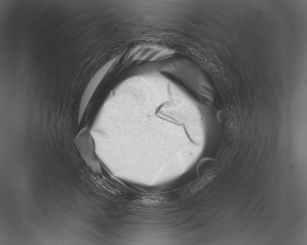 X0000082950758200702222313