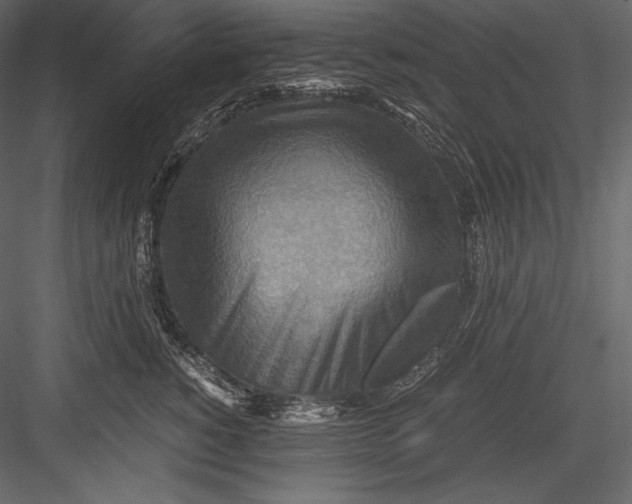 X0000082950760200702222313