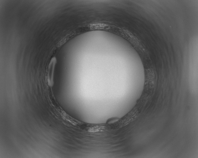 X0000082950761200702222313