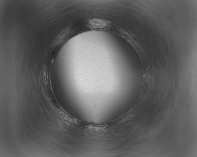 X0000082950763200702222313