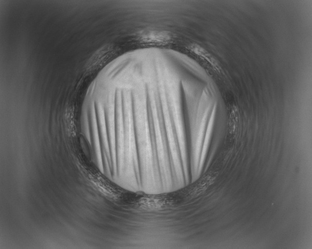 X0000082950764200702222313