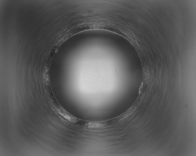 X0000082950766200702222313