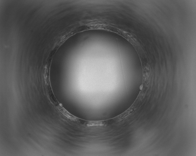 X0000082950767200702222313