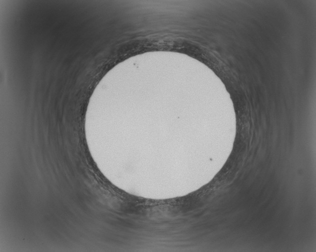 X0000082950769200702222312