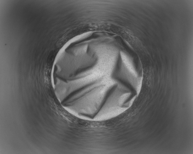 X0000082950770200702222312