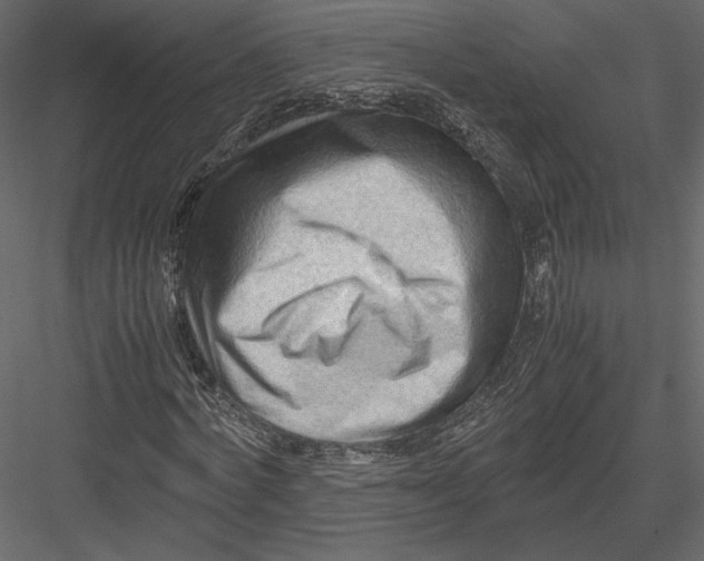 X0000082950772200702222312