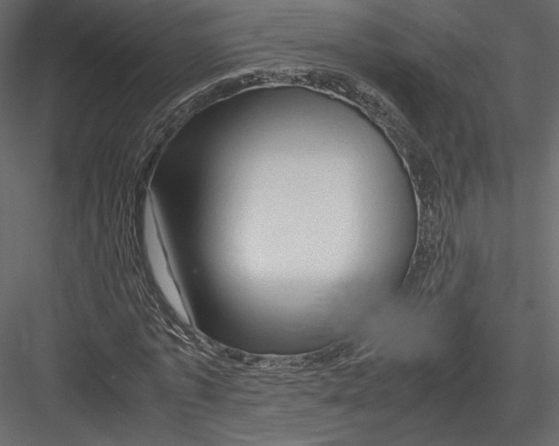 X0000082950773200702222312