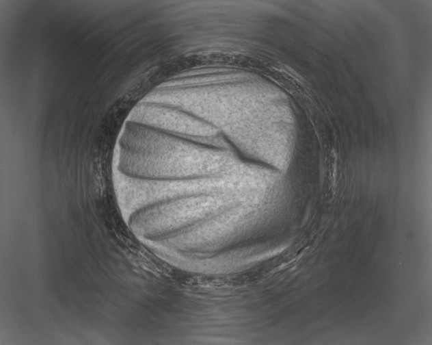 X0000082950774200702222312