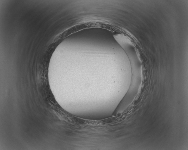 X0000082950775200702222312