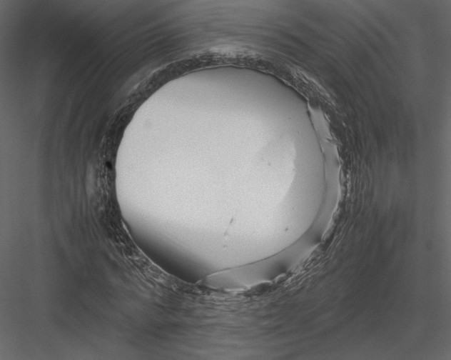 X0000082950776200702222312